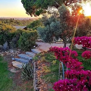  Campismo de Luxo Oasis Camp Portugal